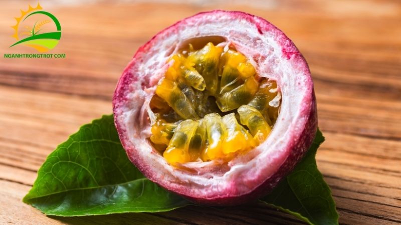 Chanh dây: Nguồn gốc, Đặc điểm và Tên Gọi Khác của Chanh dây 4 Chanh dây