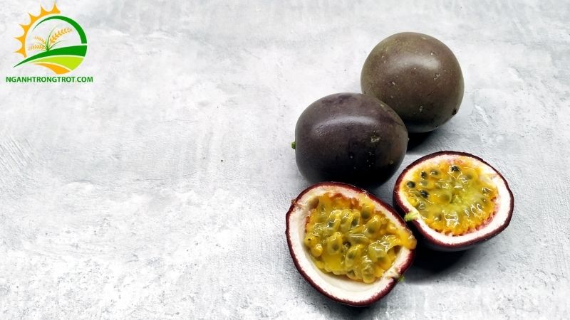 Chanh dây: Nguồn gốc, Đặc điểm và Tên Gọi Khác của Chanh dây 5 Chanh dây