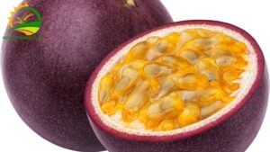 chanh dây đường phèn