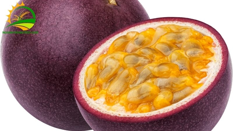 Cách Nấu Chanh Dây Đường Phèn: Món Siro Thơm Mát Dễ Làm 4 chanh dây đường phèn