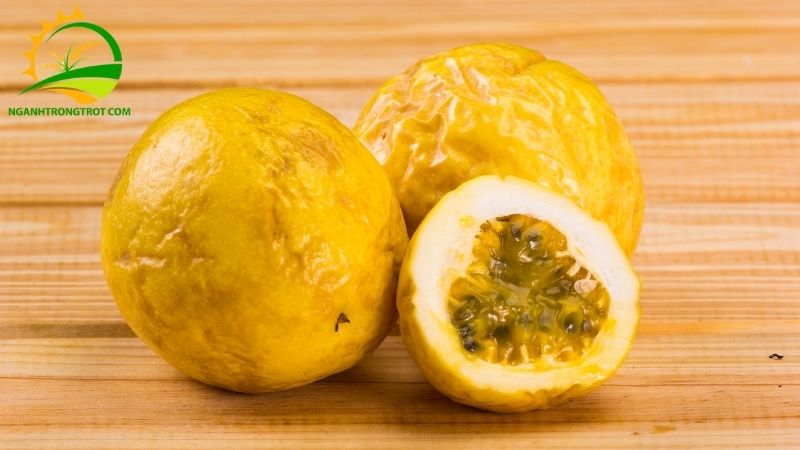 Chanh Dây Hoàng Kim: Nguồn Gốc Xuất Xứ Và Giá Bán 4 Chanh Dây Hoàng Kim
