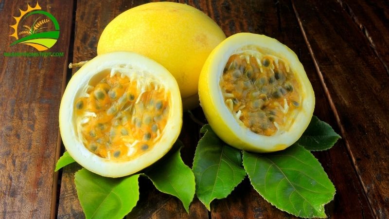 Giống Chanh Dây Vàng Ngọt: Đặc Điểm và Công Dụng Đối với Sức Khỏe 4 Chanh dây vàng