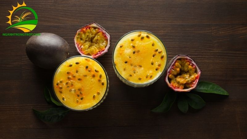 So sánh Chanh Dây Vàng và Chanh Dây Tím: Loại Nào Tốt Hơn? 4 chanh dây vàng và chanh dây tím