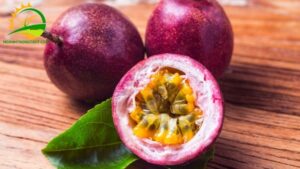 chanh leo và chanh dây