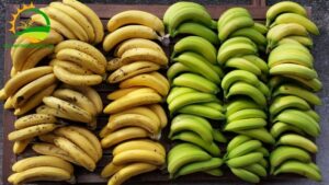 chuối tiêu hồng