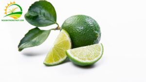 giá cây giống chanh không hạt