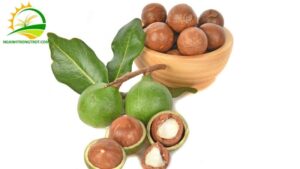 giá cây mắc ca ghép