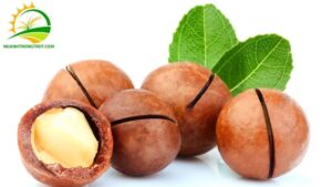 giá mắc ca hiện nay