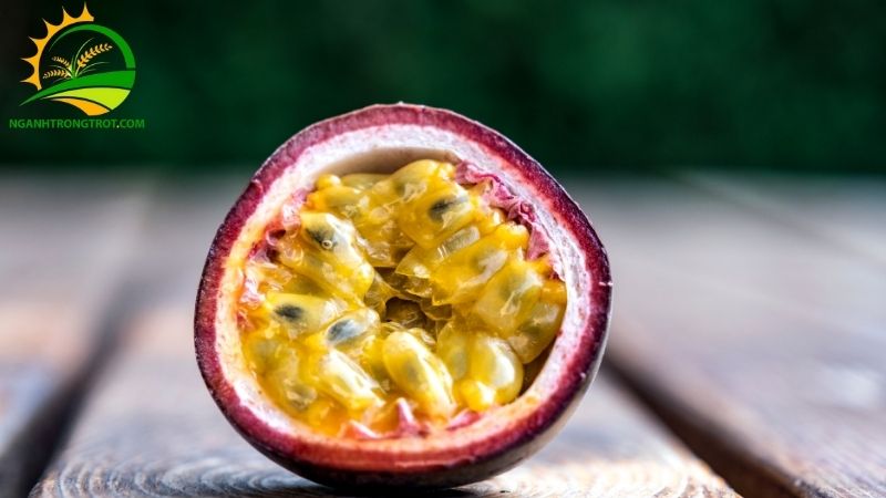 Hạt Chanh Dây Có Ăn Được Không? 5 hạt chanh dây