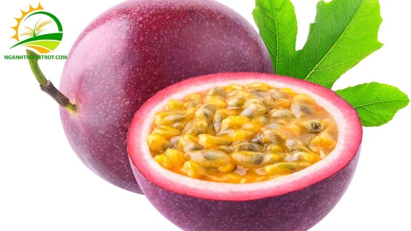 Hạt Chanh Dây Có Ăn Được Không? 4 hạt chanh dây