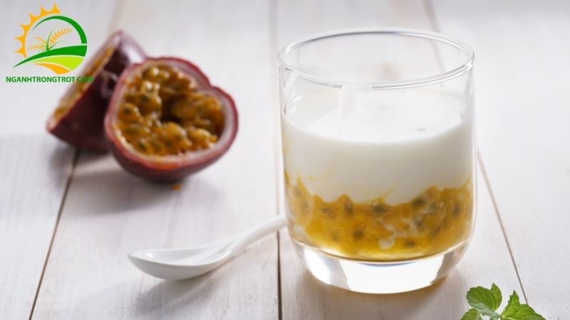 Cách Làm Sữa Chua Chanh Dây Thơm Ngon, Dẻo Và Không Bị Kết Tủ 6 sữa chua chanh dây