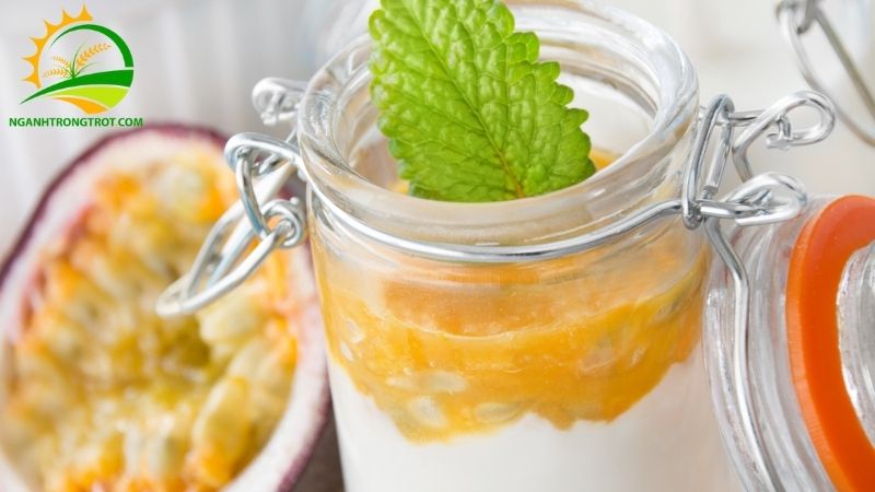 Yakult Chanh Dây: Thức Uống Thơm Ngon, Mát Ngọt Dễ Làm Cho Mùa Hè 5 Yakult Chanh Dây
