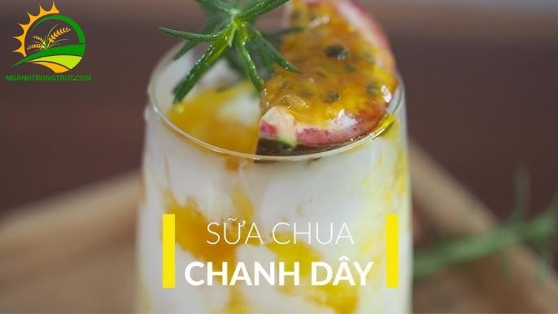 Bật mí 3 cách làm yaourt chanh dây cực dễ tại nhà 5 yaourt chanh dây