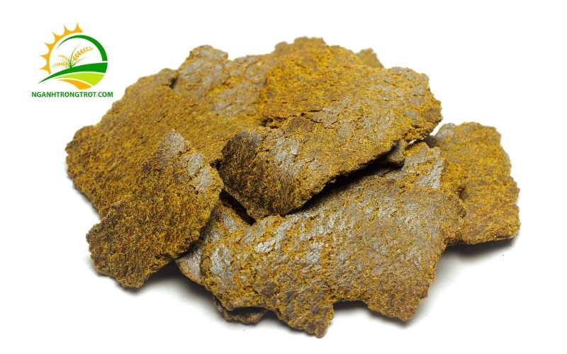 Cách bón bánh dầu cho mai và các loại cây trồng: Hướng dẫn chi tiết và hiệu quả 5 bón bánh dầu cho mai