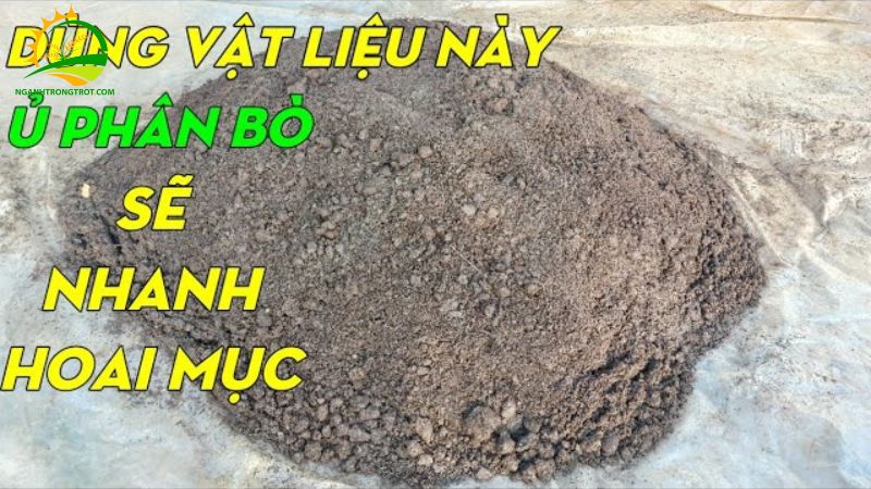 Hướng dẫn cách ủ phân bò nhanh hoai mục 4 cách ủ phân bò