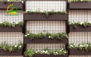 khay nhựa trồng cây treo tường