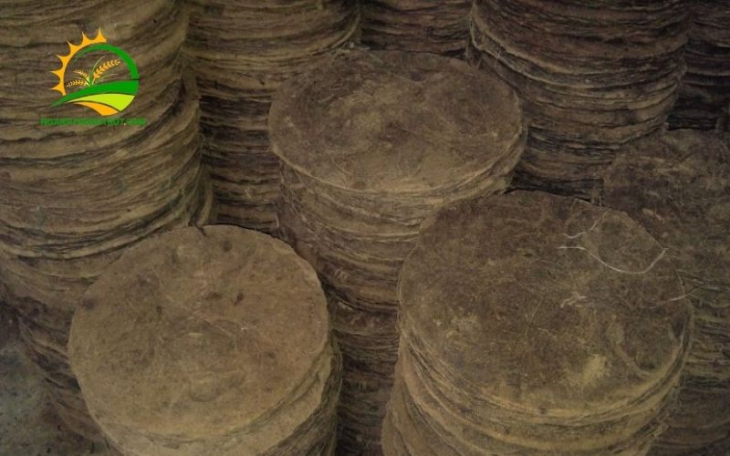 Phân Bánh Dầu Là Gì? Cách Ủ Bánh Dầu Với Nấm Trichoderma Để Trồng Cây 4 phân bánh dầu