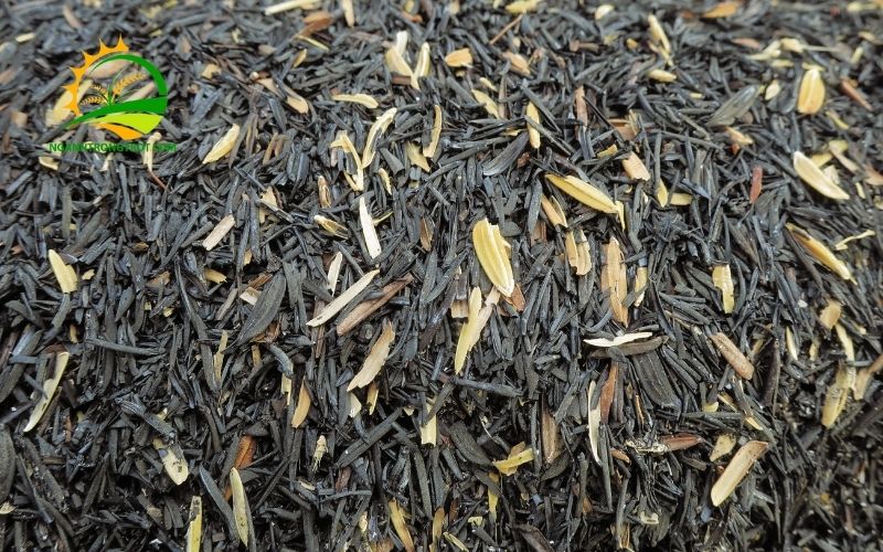 Tác dụng của tro trấu với cây trồng và cách trộn chuẩn tỷ lệ 6 tác dụng của tro trấu với cây trồng