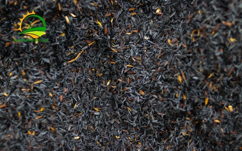 Tác dụng của tro trấu với cây trồng và cách trộn chuẩn tỷ lệ 4 tác dụng của tro trấu với cây trồng