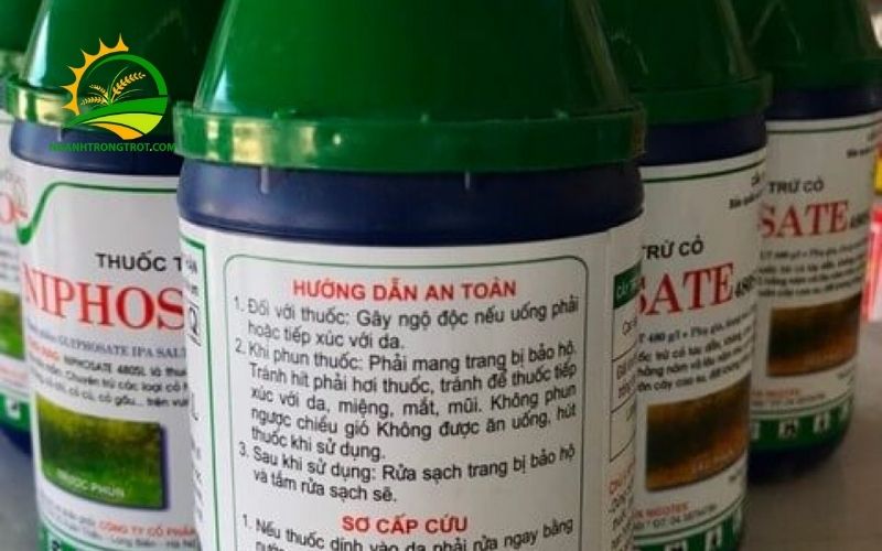Công dụng và giá bán thuốc trừ cỏ lưu dẫn Glyphosate 6 thuốc trừ cỏ lưu dẫn glyphosate