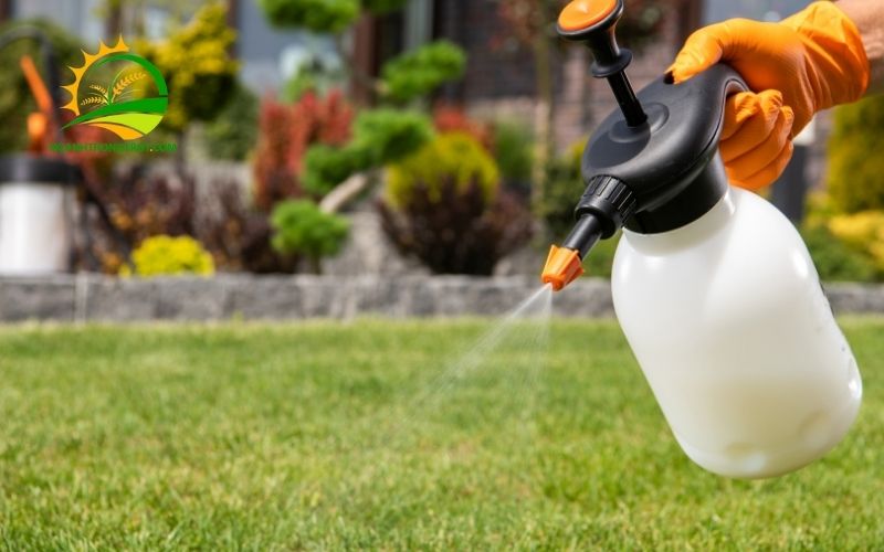 Thành Phần, Giá Bán Và Cách Sử Dụng Thuốc Trừ Cỏ Sofit 6 thuốc trừ cỏ sofit