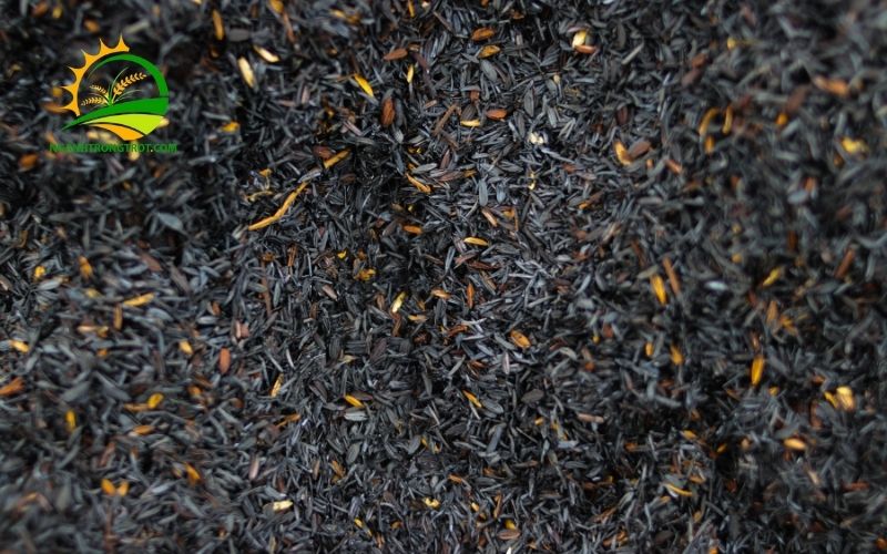 Công dụng trộn vỏ trấu vào đất để trồng cây và cách xử lý trấu tươi 6 trộn vỏ trấu vào đất