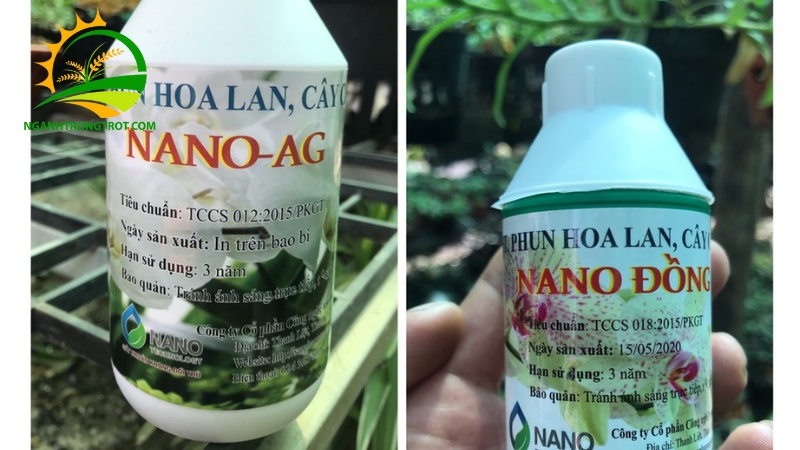 Tác dụng của nano bạc cho hoa lan và cách sử dụng 4 nano bạc cho hoa lan